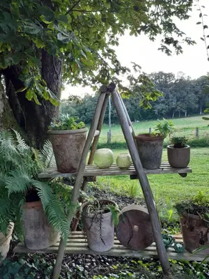 Jardin de l'établissement Domaine du Vidal