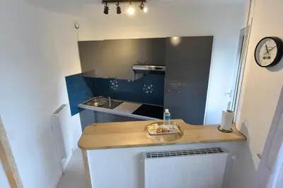 Cuisine ou kitchenette dans l'établissement SUPERBE STUDIO PLEIN CENTRE AVEC PARKING PRIVE