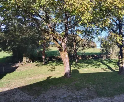 Jardin de l'établissement Sur la Colline
