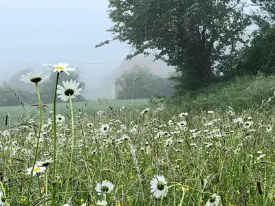 Paysage naturel près de la maison de vacances