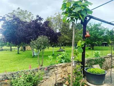 Jardin de l'établissement Le Bon Chemin gite