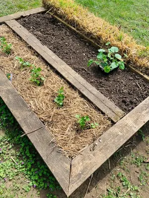 Jardin de l'établissement L'écrin des symes