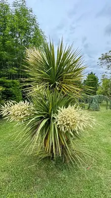 Jardin de l'établissement Plaisir d eau gite avec piscine couverte chauffée 28 degré Padirac rocamadour