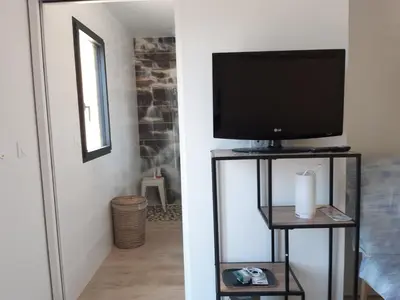 Télévision ou salle de divertissement dans l'établissement La grande Maison