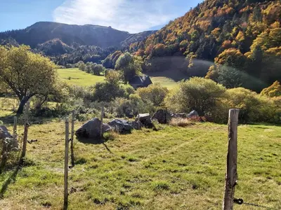 Paysage naturel près de l'appartement
