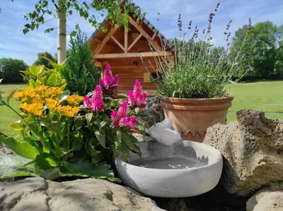 Jardin de l'établissement Chalets et cabane perchée 