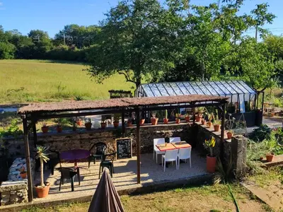 Jardin de l'établissement Le Cactus Orange Appartement 2 à 4 personnes avec entrée indépendante