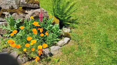 Jardin de l'établissement La maison du Mas Rando