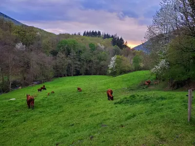 Paysage naturel près de la maison de vacances