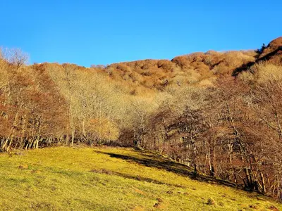Paysage naturel près de la maison de vacances