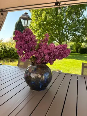 Jardin de l'établissement Relais des combrailles