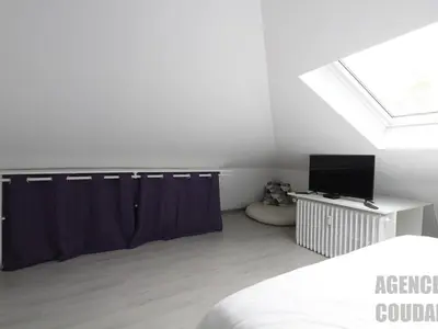 Télévision ou salle de divertissement dans l'établissement T3 charmant au Mont-Dore hyper centre - animaux acceptés - FR-1-608-227