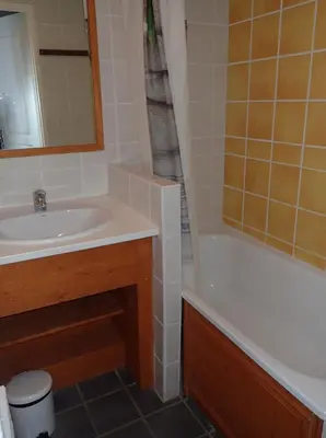 Salle de bains dans l'établissement Lama-Gîte-des-Puys T3 Lamadalet, vue sud, terrasse, parking privé