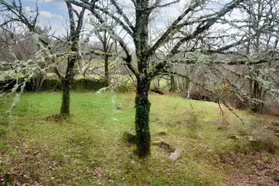 Jardin de l'établissement Maison charmante à Meyrignac-l'Église avec cheminée