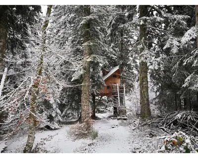 L'établissement Cabanes des Volcans en hiver