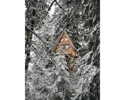 L'établissement Cabanes des Volcans en hiver