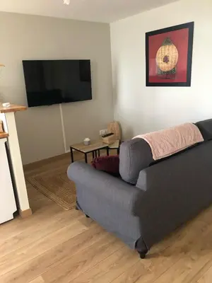 Télévision ou salle de divertissement dans l'établissement Le Burin des Rosiers