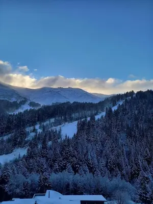 Paysage naturel près de l'appartement
