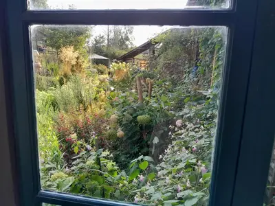 Jardin de l'établissement la maison de Royer