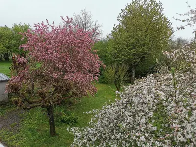 Jardin de l'établissement Maison de bourg dans le Cantal