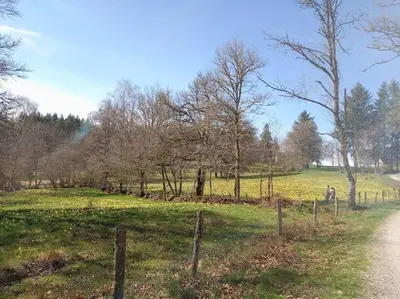 Paysage naturel près de la maison de vacances