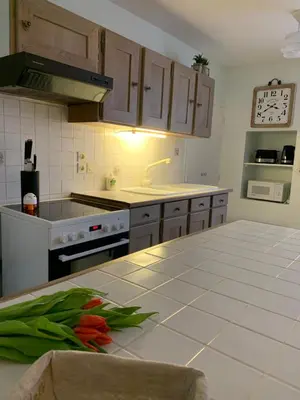 Cuisine ou kitchenette dans l'établissement Gîte Les Mijoteurs