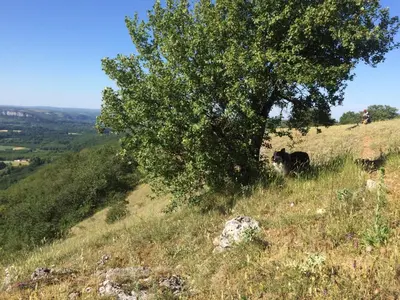 Paysage naturel près de la maison de vacances