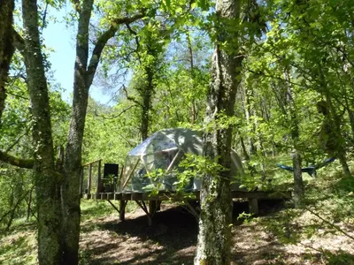 Jardin de l'établissement Arborea, nuits insolites au cœur de la forêt