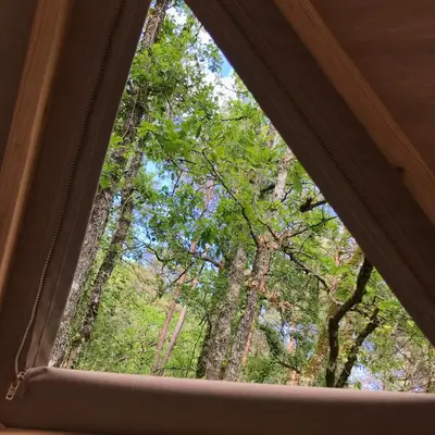 Paysage naturel près de la tente de luxe