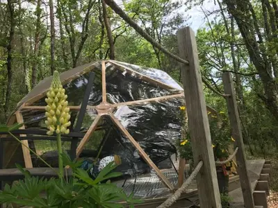Jardin de l'établissement Arborea, nuits insolites au cœur de la forêt