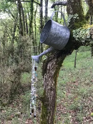 Plan de l'établissement Arborea, nuits insolites au cœur de la forêt
