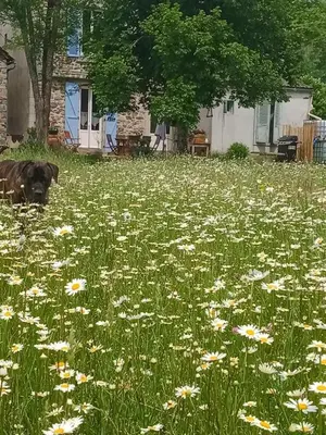 Jardin de l'établissement La tanière