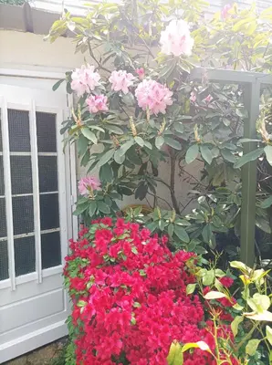 Jardin de l'établissement Chambre d'hôtes