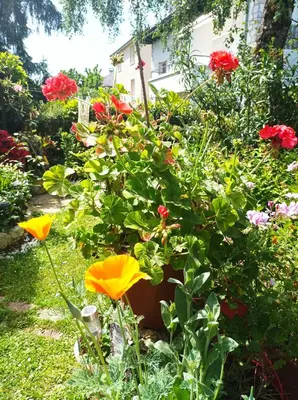 Jardin de l'établissement Chambre d'hôtes
