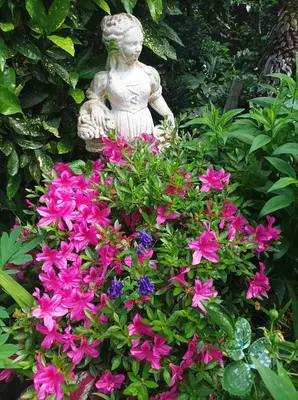 Jardin de l'établissement Chambre d'hôtes
