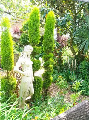 Jardin de l'établissement Chambre d'hôtes