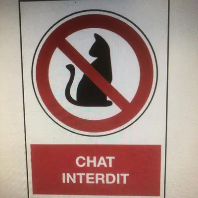 Animal ou animaux domestique(s) séjournant avec des clients dans l'établissement Le chalet de 