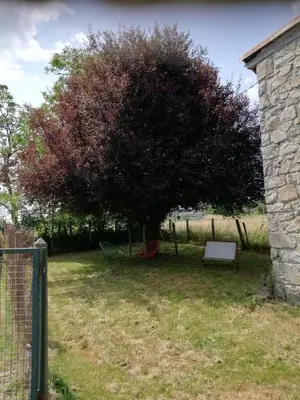 Jardin de l'établissement Le Pamparou, coquette maison au calme