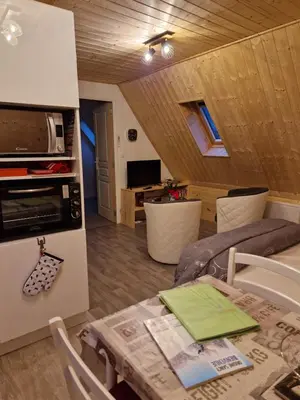 Cuisine ou kitchenette dans l'établissement la maison des fleurs studio