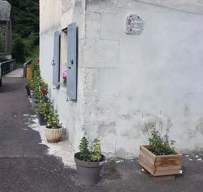 Jardin de l'établissement la maison des fleurs studio
