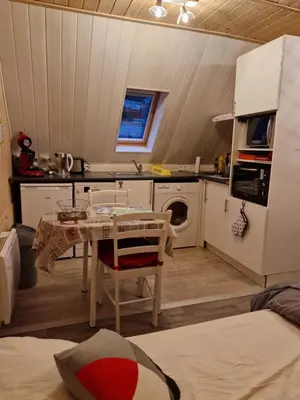 Cuisine ou kitchenette dans l'établissement la maison des fleurs studio