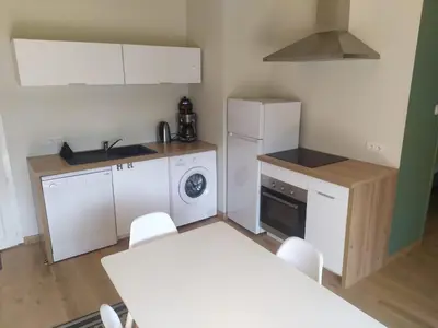 Cuisine ou kitchenette dans l'établissement Location à Argentat-sur-Dordogne