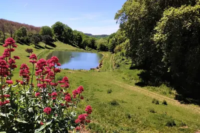 Paysage naturel près de l'appartement