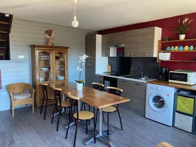 Cuisine ou kitchenette dans l'établissement Les Genêts du Sancy