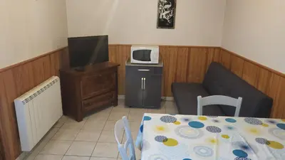 Télévision ou salle de divertissement dans l'établissement type 2
