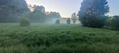 Paysage naturel près de la maison de vacances