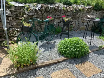 Jardin de l'établissement Maison Les Berrys