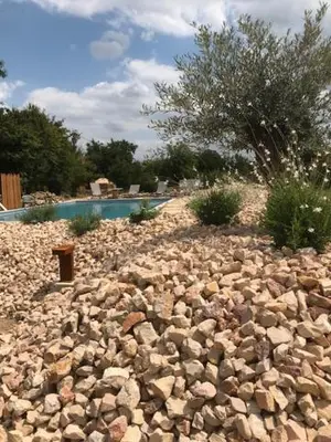 Jardin de l'établissement Ratatouille
