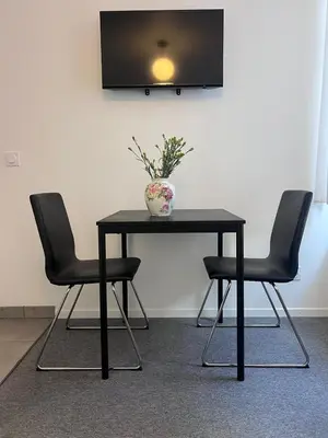 Télévision ou salle de divertissement dans l'établissement VILLA VLAS - Chambre d'Hôte - Limoges