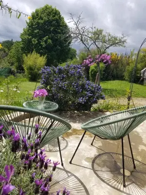 Jardin de l'établissement La bohème